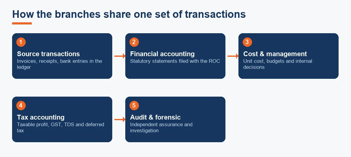 A flow showing one pool of source transactions feeding financial, cost and management, tax, and audit branches in turn.